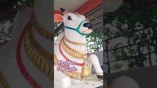 nandi gollaprolu pithapuram andhrapradesh lordshiva chagantikoteshwarrao [upl. by Ortensia591]