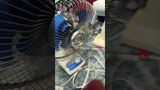 More fans gone crazer fan kipasangin ventilador funny shorts [upl. by Kenison]