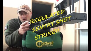 Xisico Sentry PCP regulated shot string [upl. by Nylhtiak887]