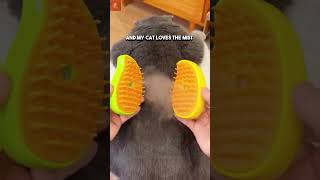 Say Goodbye to Shedding Cat Hair at Home  Link in Bio cat grooming cute pets petsupplies [upl. by Ralina808]