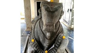 Nandhi Vigraha  Kalleshvara Temple Aralaguppe in Karnataka India [upl. by Reisch]