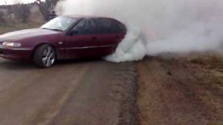 biggest burnout manual v6 commodore [upl. by Cirtemed205]