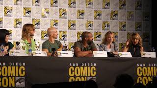 Teen Titans Go vs Teen Titans Panel w Actors  ComicCon 2019 [upl. by Robinson]