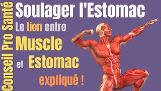 Soulager lESTOMAC Partie 3 par activation musculaire [upl. by Spindell]