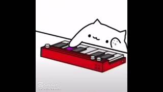 funny cat music phonk [upl. by Whall383]