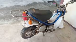 yamaha chappy 50 cc [upl. by Adnamra]