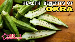 OKRA Health Benefits 🫛 [upl. by Heurlin540]