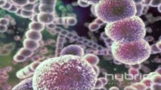 Streptococcus Pneumoniae Hybrid Medical Animation [upl. by Hannej]