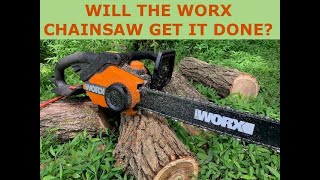 WORX 18quot Chainsaw Review  Model WG3041  15 AMP ELECTRIC [upl. by Eniamej845]