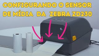 Configurando o Sensor de Mídia da Zebra ZD220 ZD230 [upl. by Hemetaf]