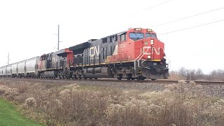 Canadian National  Eastbound Freight 24 Nov 24 [upl. by Emmerich]