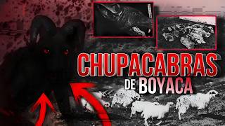 ¿El CHUPACABRAS es REAL El Misterio Detrás de los ATAQUES en Boyacá [upl. by Vyner]