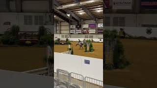 ⁠grahammp3 horse equestrain music horsemusic horsegirl winnerwinnerchickendinner [upl. by Rene]