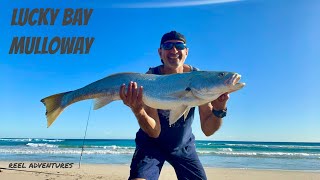 LUCKY BAY MULLOWAY [upl. by Hardi]