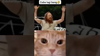 HELP HELO 🤣 abufarishstory funny cat catreact memes [upl. by Novahc946]