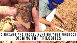 Dinosaur amp fossil hunting tour Morocco  Digging for Trilobites [upl. by Hpseoj340]