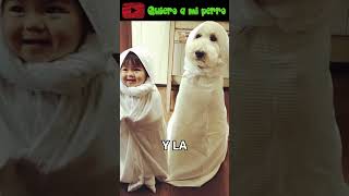 49 ¡Los Mejores Perros para Niños 🐶👦👧QuieroAMiPerro ❤️ [upl. by Son555]