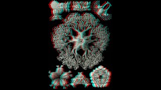 127 Ernst Haeckel 3D 1080p [upl. by Ordnajela779]