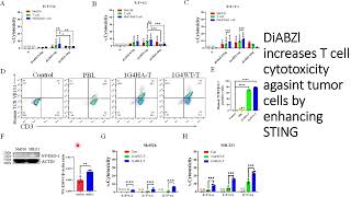 DiaBZl increases Tcell cytotoxicity against tumor cells by STING Code 699 [upl. by Eulalia]