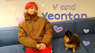 V and his dog Yeontan acting cute together [upl. by Onitsuaf]