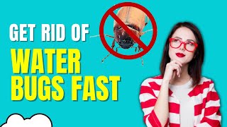 How To Get Rid Of Waterbugs In House Fast Natural Home Remedies  Top Repellents [upl. by Ahsed]