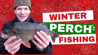 Winter perch fishing with a cocktail of baits [upl. by Anihc]