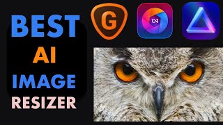 BEST AI IMAGE UPSCALER IN 2022 LUMINAR UPSCALE AI VS TOPAZ LABS GIGAPIXEL VS ON1 RESIZE AI [upl. by Enamrahs624]