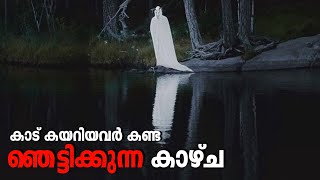 😱പേടിയുള്ളവർ കാണരുത്  Real Horror Story Malayalam Explanation  Haunted Web [upl. by Hairaza]