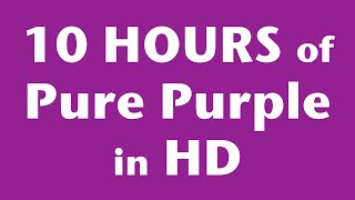 10 Hours of Pure Purple Screen in HD [upl. by Nizam659]