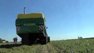 Новый горохоуборочный комбайн Ploeger EPD 540 [upl. by Nickolas]