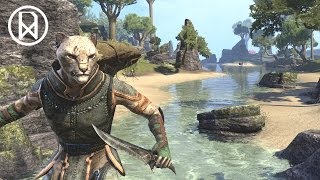 Khajiit Nightblade 3 quotJoining the Veiled Heritancequot Elder Scrolls Online 1080p Ultra [upl. by Orlina]