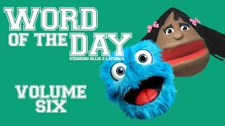 Fluffy Friends  Word of the Day Volume 6 [upl. by Adnilemreh]