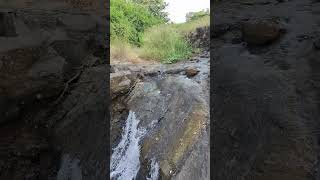 enjoy picnic 🧺🥰😊 shortvideo shortsyoutube nature [upl. by Gruver]