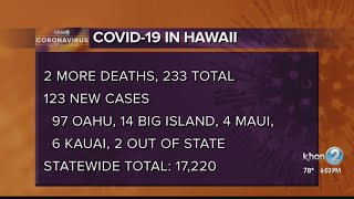 Coronavirus 2 fatalities 123 new COVID19 cases on Nov 22 [upl. by Eireva657]