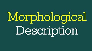 How to Analyze a Sentence Morphologically Morphological Description L8 Morphology [upl. by Aisset793]