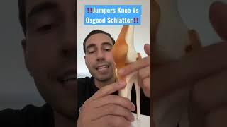 Jumpers Knee Vs Osgood Schlatter [upl. by Esnahc]