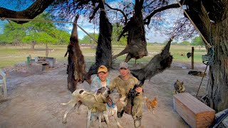 INCREIBLE CAZA con PERRO CHANCHOS SALVAJES🐗🐕 [upl. by Allayne]