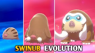 How To Evolve Swinub Into Piloswine And Mamoswine In Pokemon Sword amp Shield  Galar Pokedex [upl. by Bullivant]