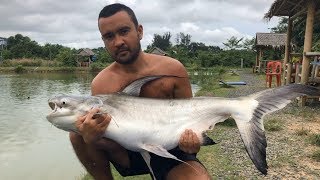 Трофейная рыбалка в Тайланде  Chalong Fishing Park [upl. by Kealey671]