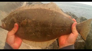 Surf Fishing Southern California  Redondo Beach [upl. by Tallulah102]