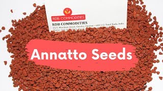 ANNATTO SEEDS  BIXA ORELLANA  Natural Food Colour [upl. by Atinrahs]