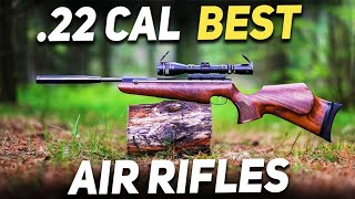 Top 10 Best 22 Cal Air Rifles In the World2022 [upl. by Salisbarry744]