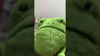 NEW JELLYCAT RICKY RAIN FROG 🗣️🗣️🦅🦅🔥🔥 [upl. by Nivrac548]