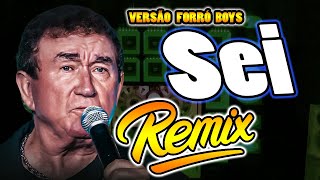 AMADO BATISTA  SEI  VERSÃO REMIX FORRÓ BOYS [upl. by Irok]