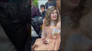 Kanwal aftab wedding kanwalaftab zulqarnainsikander wedding shorts youtubeshorts starworld [upl. by Amada]