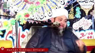 qari Abdul hannan Pakistani new bayan [upl. by Anat388]