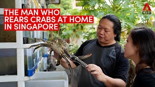 The crab condo guru Meet the man who rears crabs at home in Singapore [upl. by Eannyl]