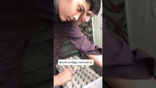 Placing Eggs In Incubator Again 🥚🐣chicks hatching incubator shorts ytshorts [upl. by Edora]