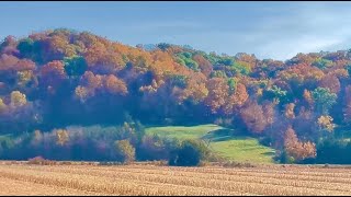 VIBRANT DRIVE THROUGH THE VALLEY countrylife countryside countryliving [upl. by Nellak291]