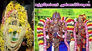 மீனாட்சி சுந்தரேஸ்வரர் கோவில் அன்னாபிஷேகம் 2024  Meenakshi Sundareswarar Temple Annabhishekam [upl. by Linetta]